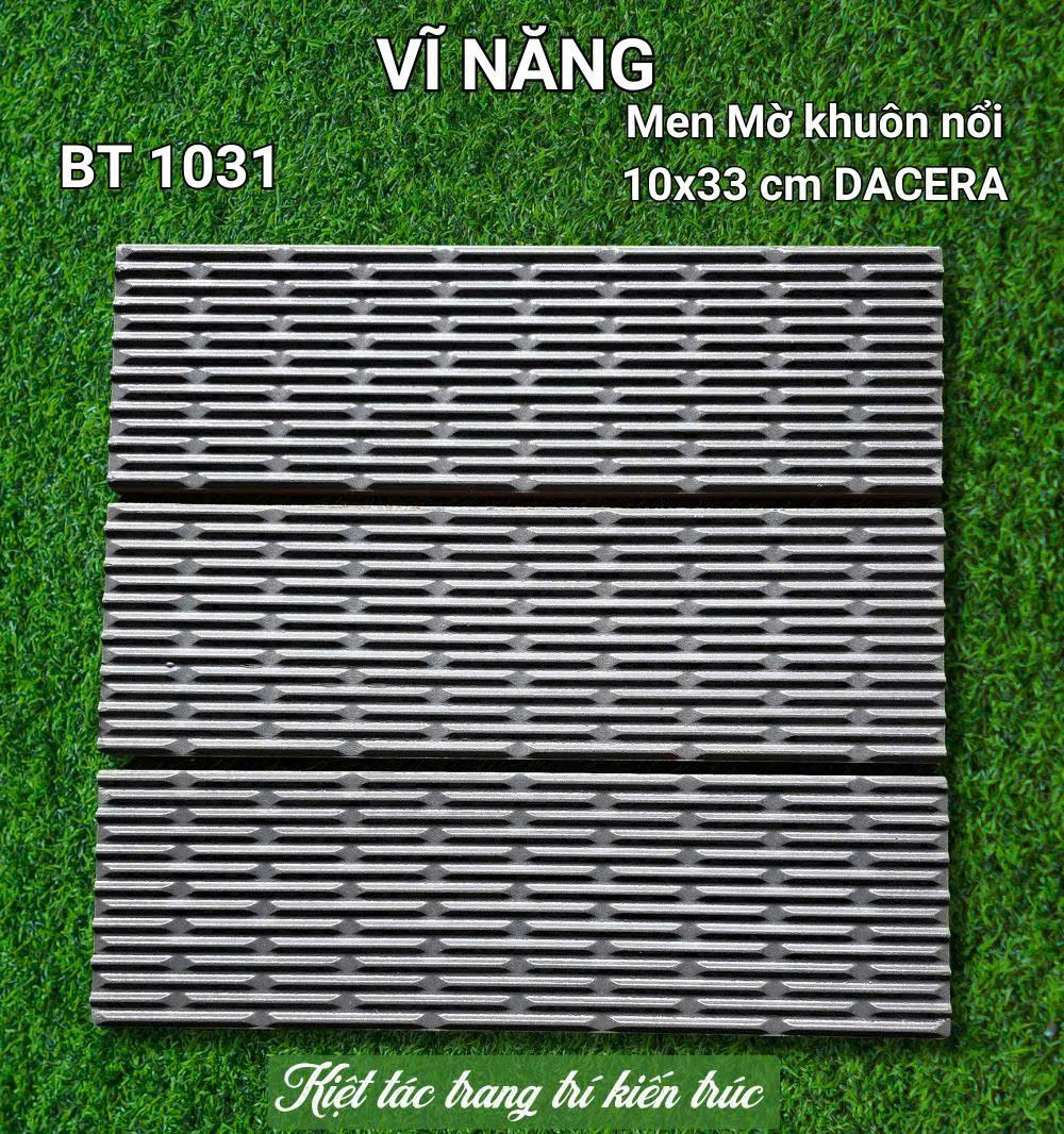 MEN 10x33 - BT1031