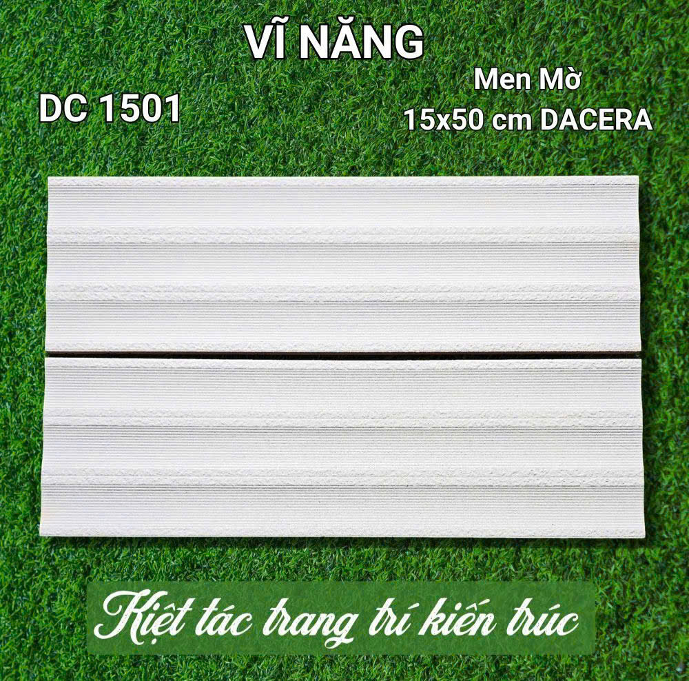 MEN 15x50 - DC1501