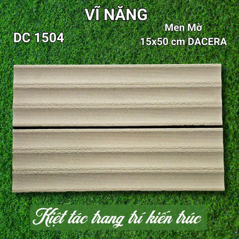 MEN 15x50 - DC1504