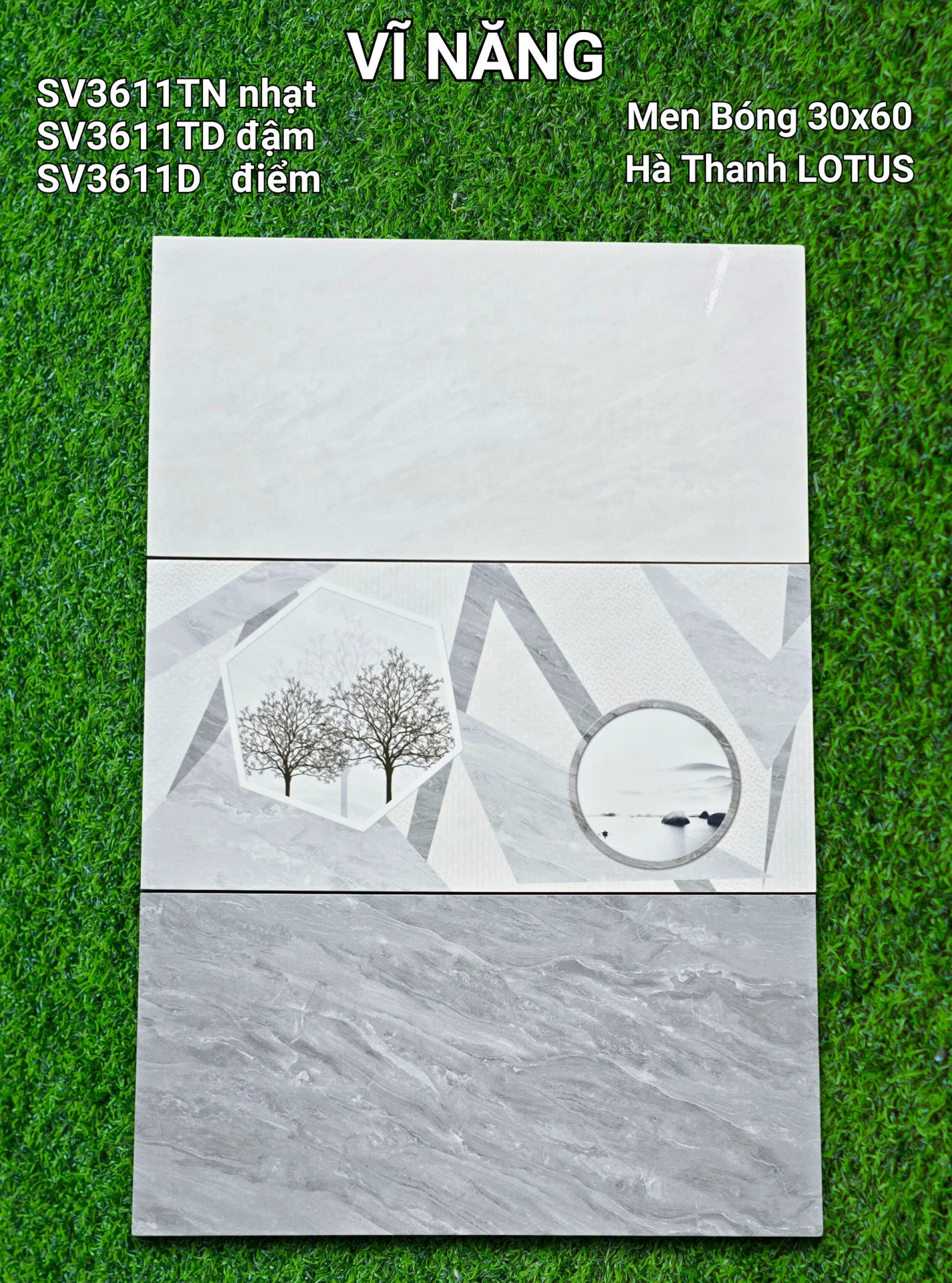Men Bóng 30x60 - SV3611