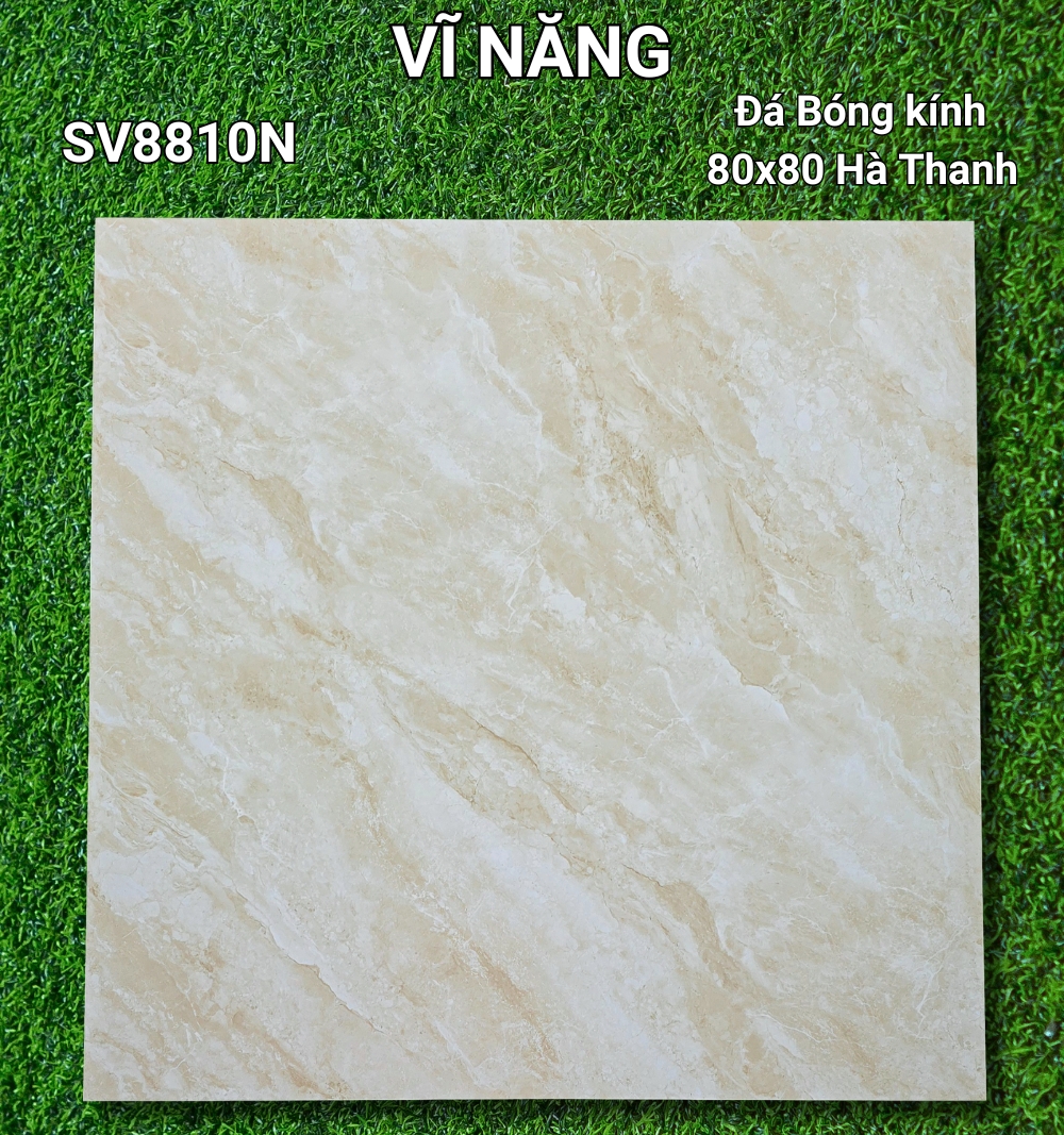 Đá Bóng Kính 80x80 - SV8810N