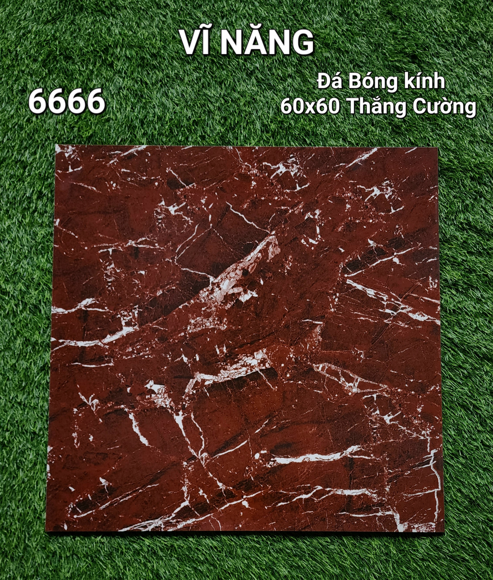 Đá Bóng Kính 60x60 - 6666