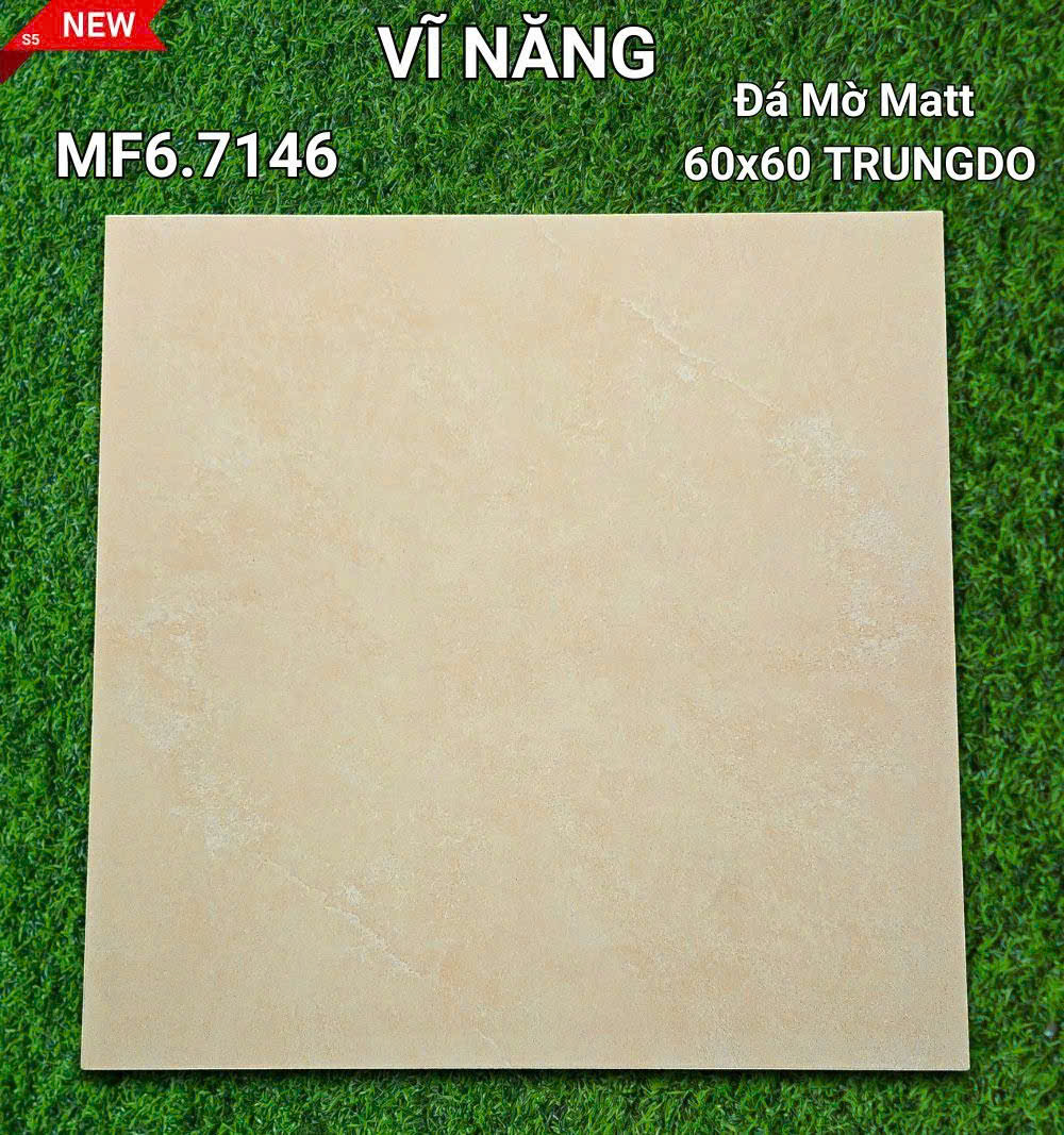 Đá Mờ Matt 60x60 MF6.7146