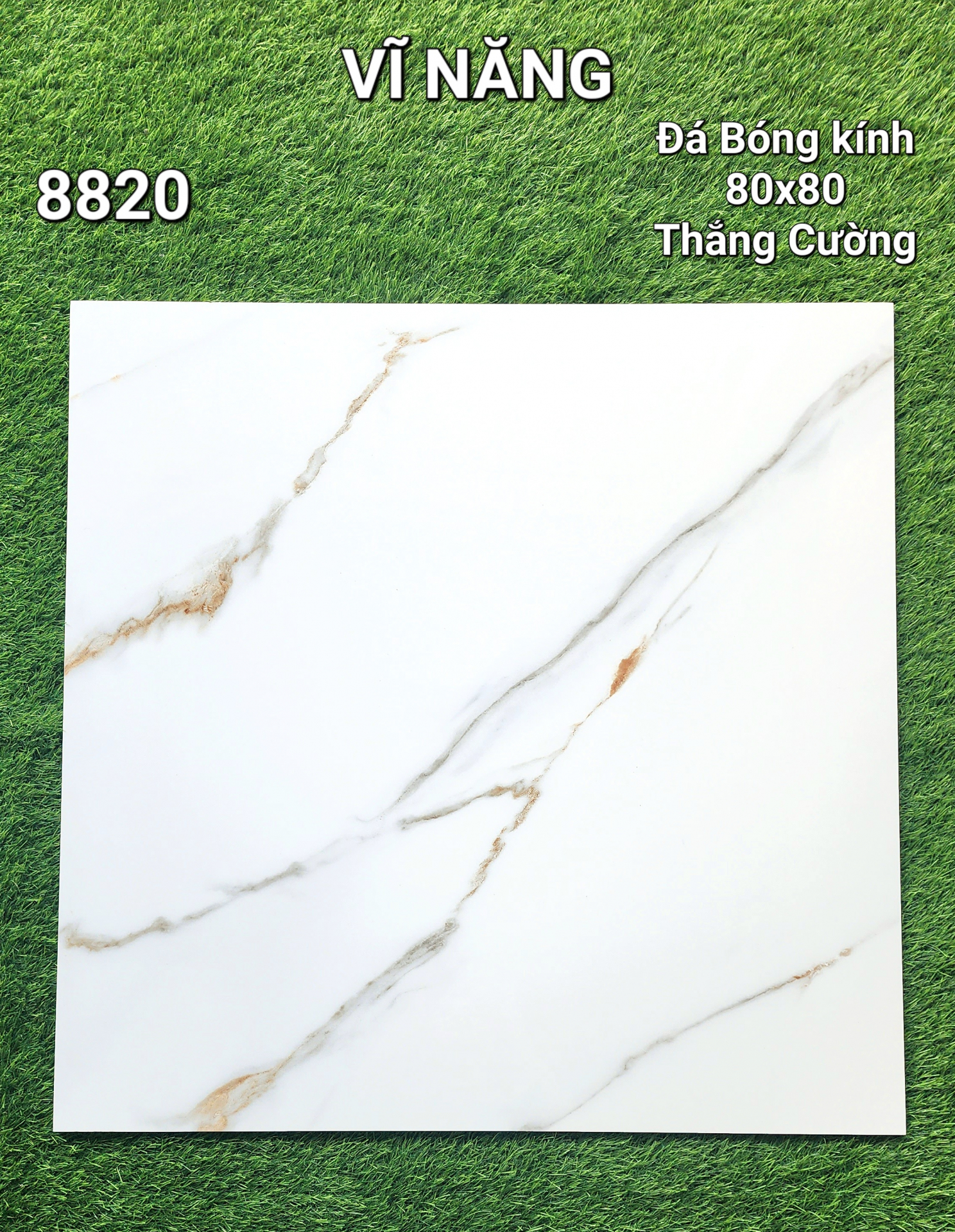 Đá Bóng Kính 80x80 - 8820