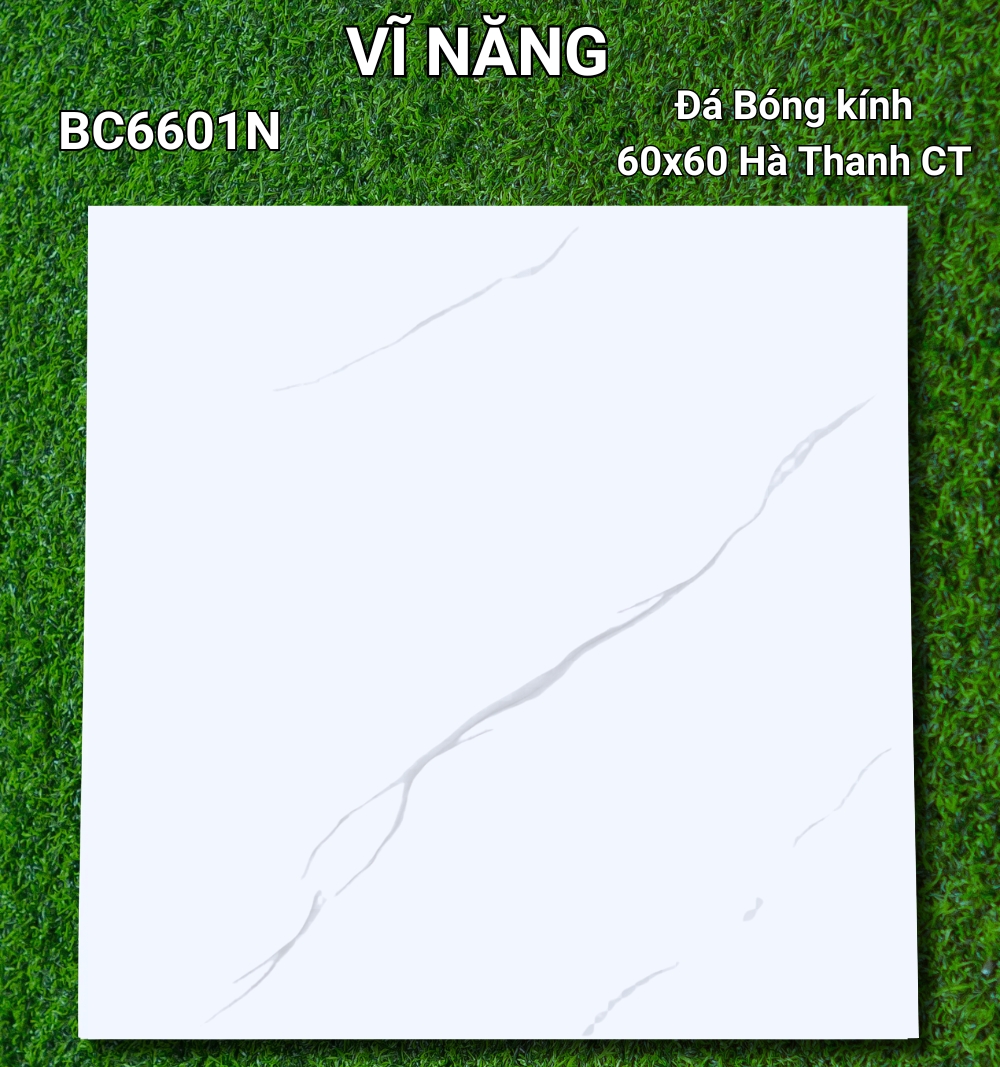 Đá Bóng Kính 60x60 - BC6601N