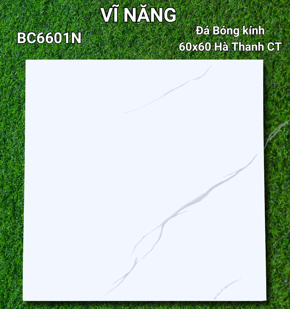 Đá Bóng Kính 60x60 - BC6601N