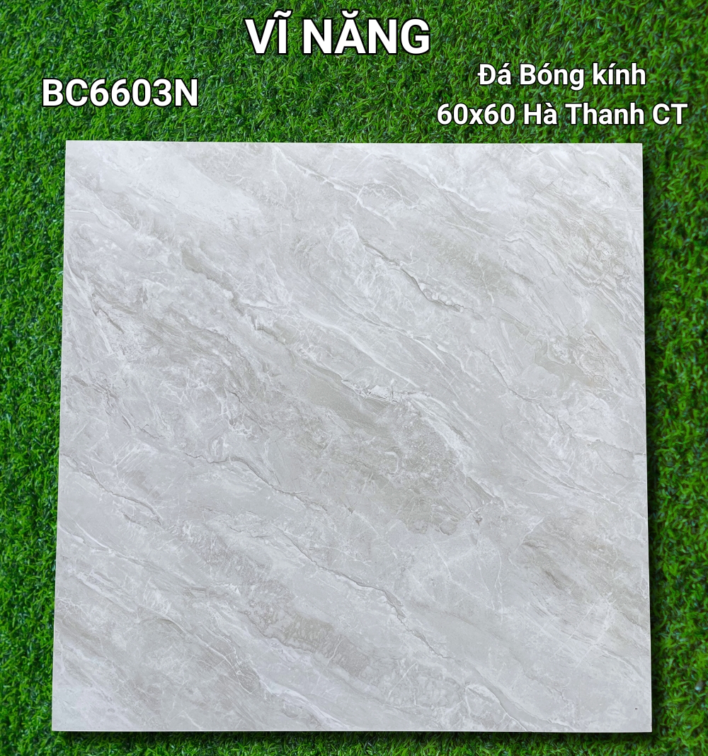 Đá Bóng Kính 60x60 - BC6603N