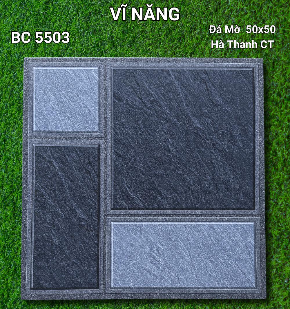 Đá Mờ 50x50 - BC5503
