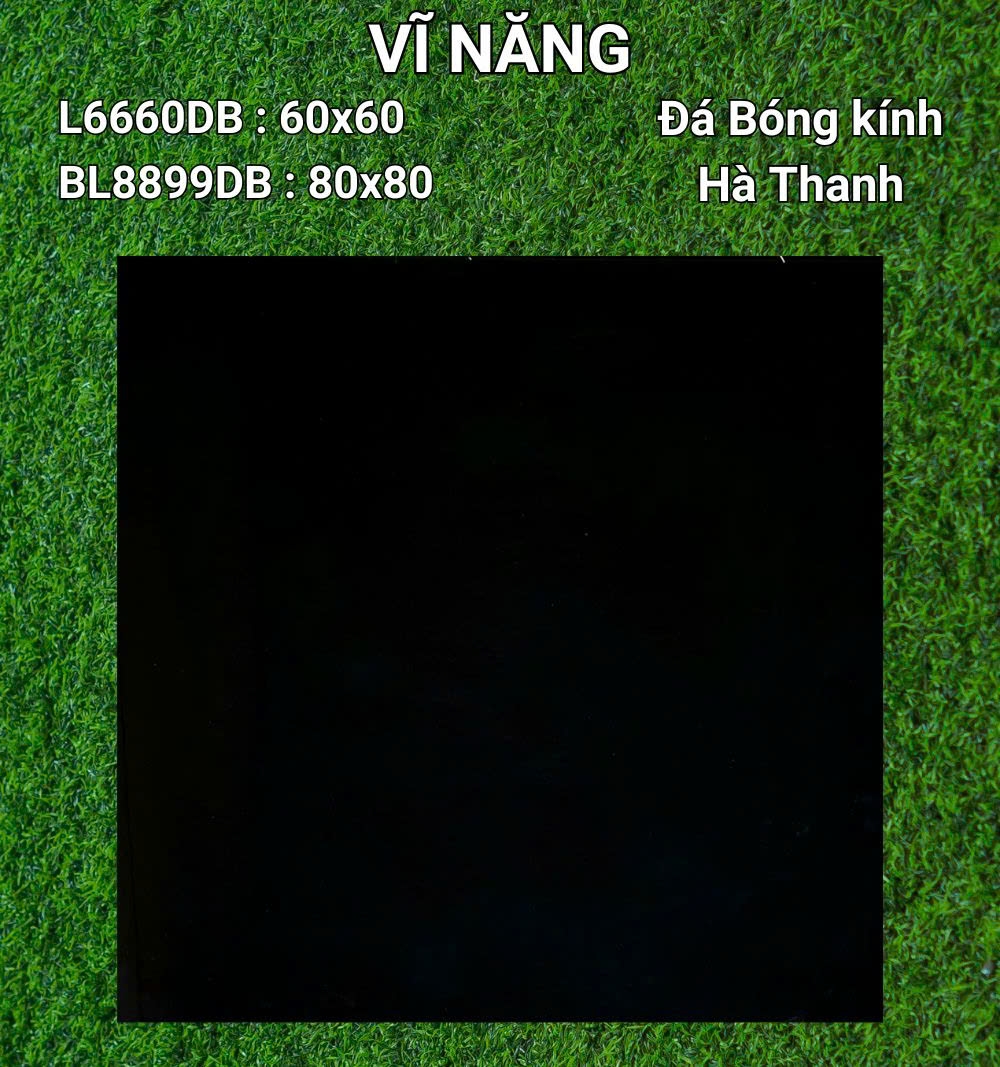 Đá Bóng Kính 80x80 - BL8899DB