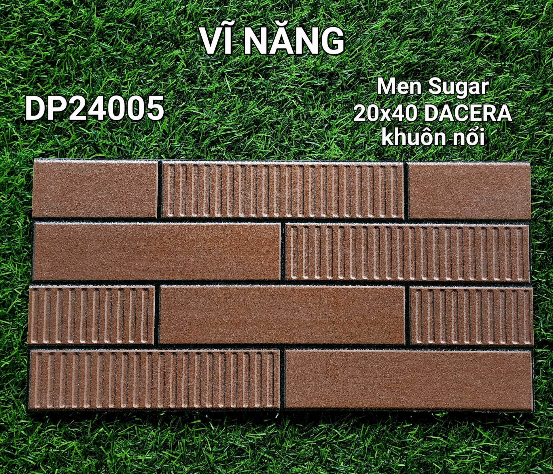 MEN SUGAR 20X40 - DP24005