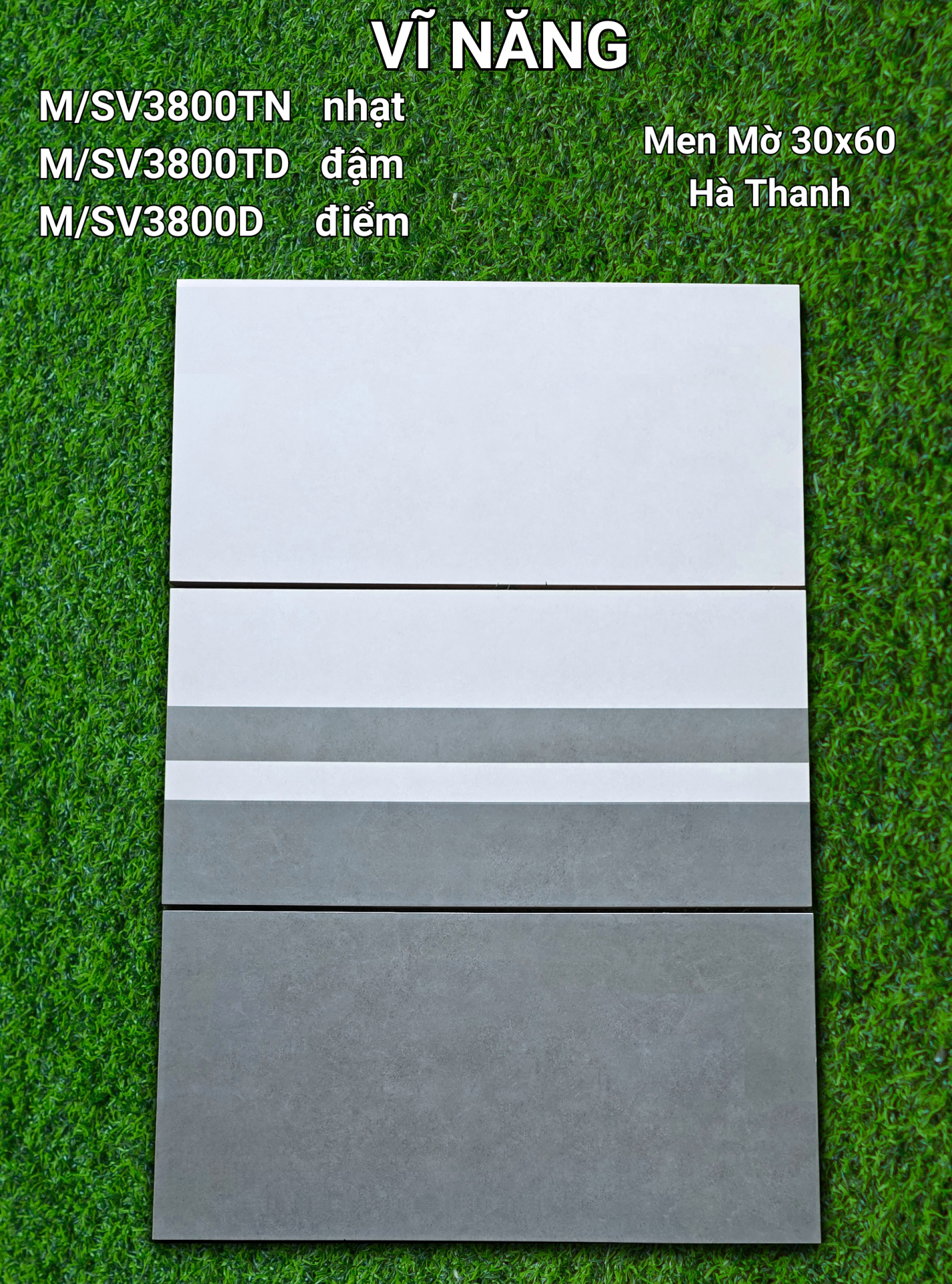 Men Mờ 30x60 - M/SV3801 - copy - copy - copy