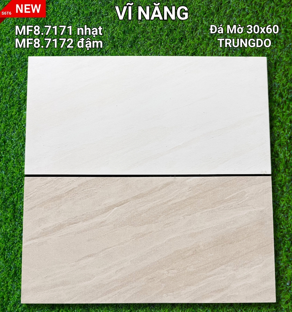 MF8.8165,MF8.8166 - copy - copy - copy - copy