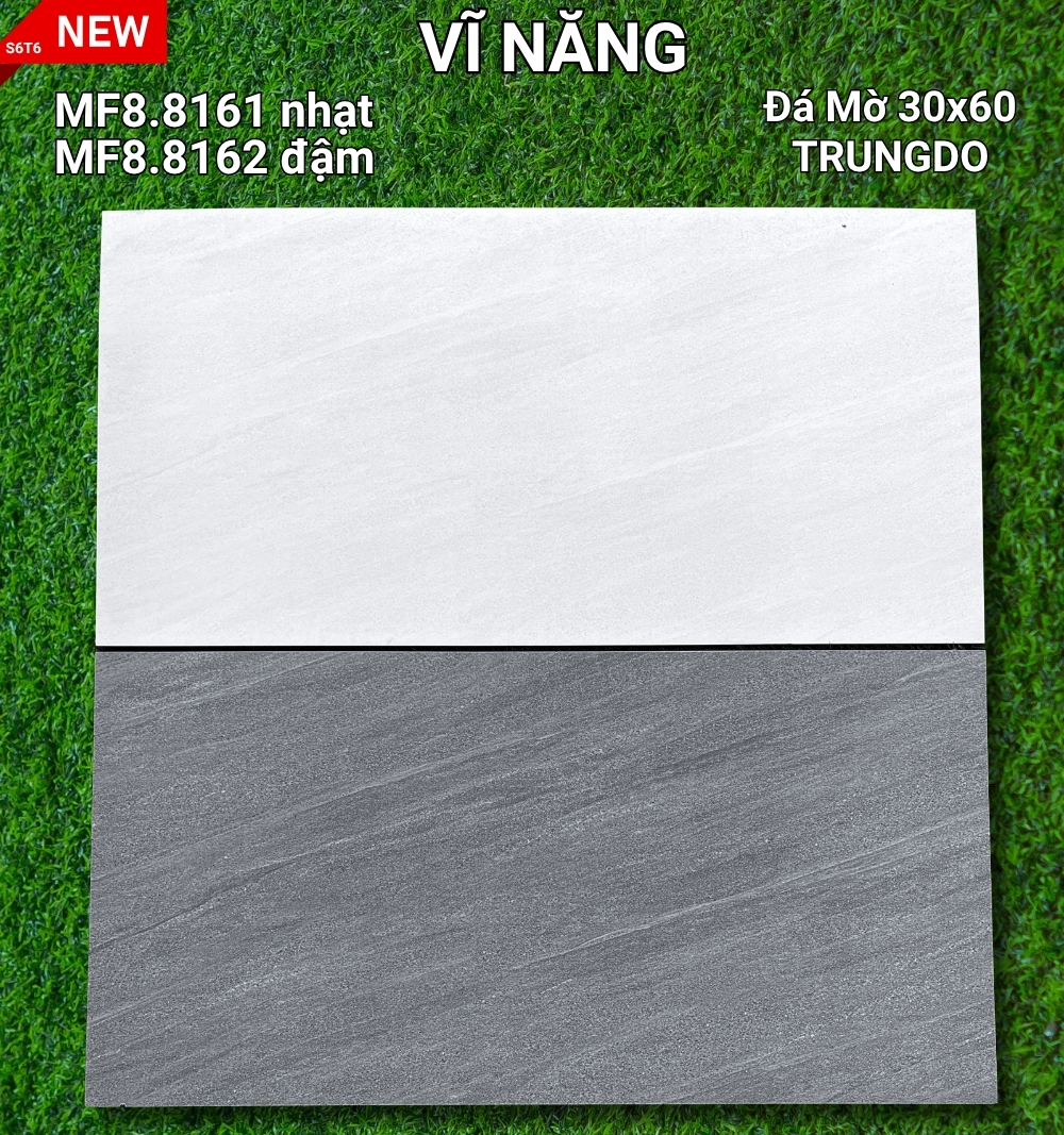 MF8.8161, MF8.8162