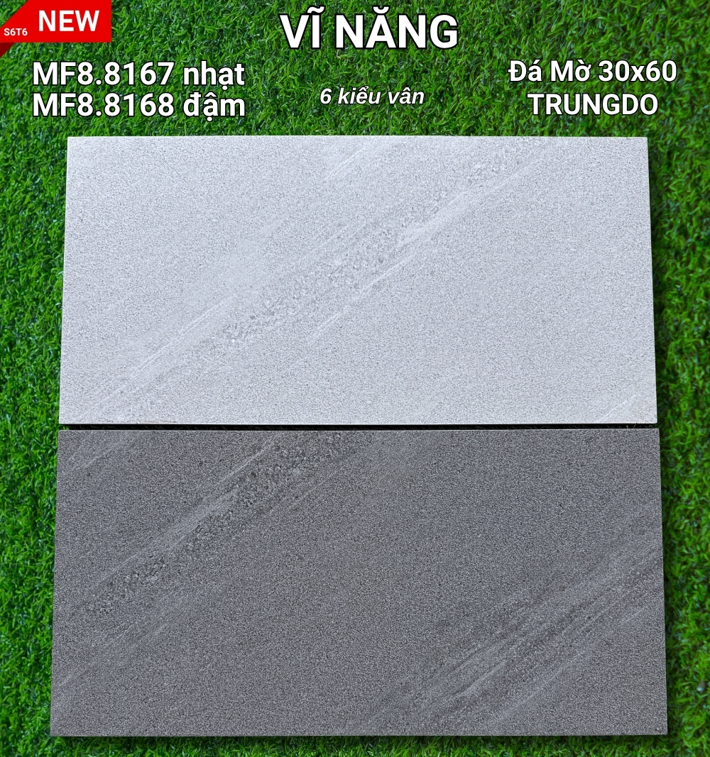 MF8.8165,MF8.8166 - copy - copy - copy