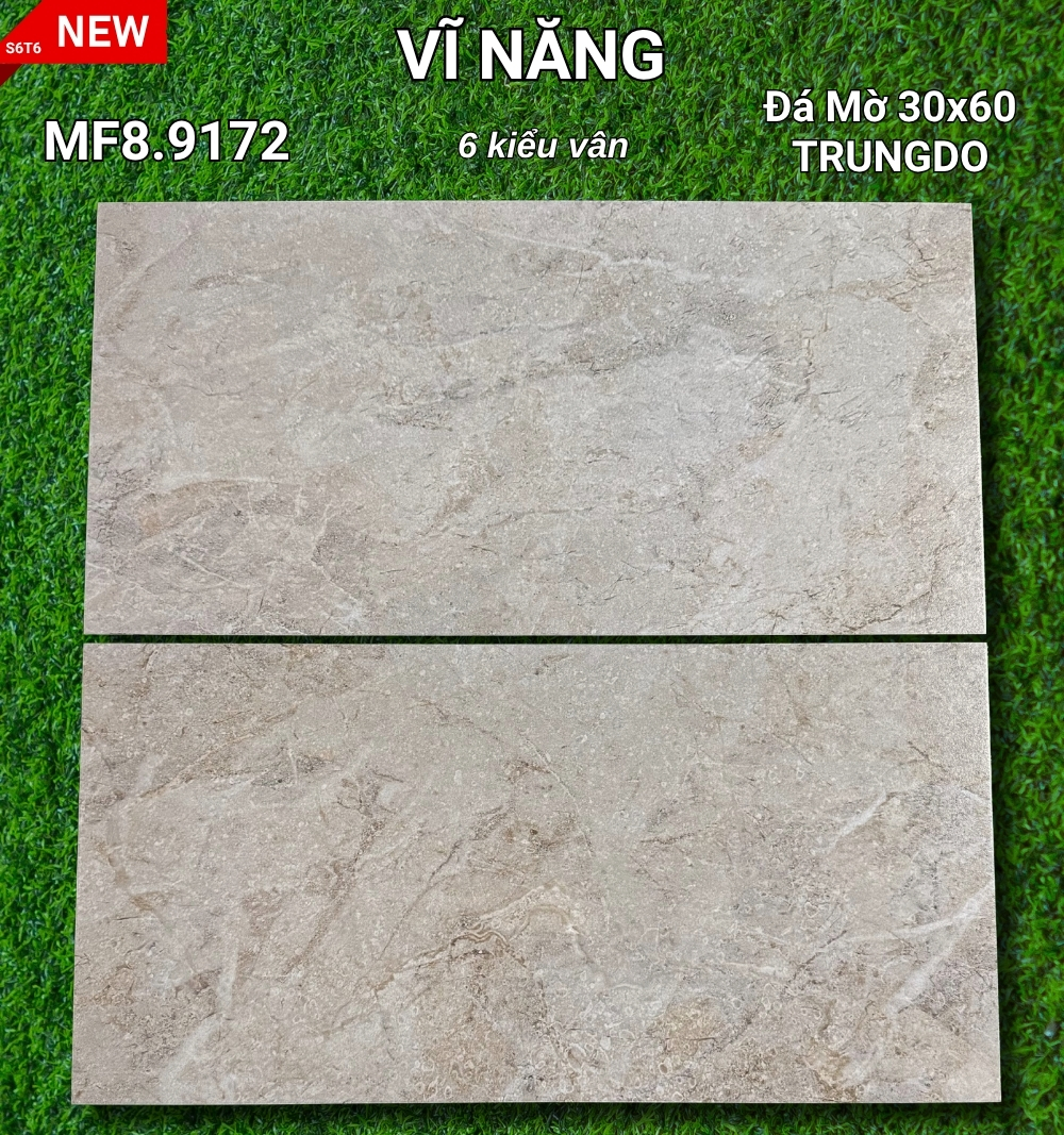  Đá Mờ Matt 30x60 MF8.9172