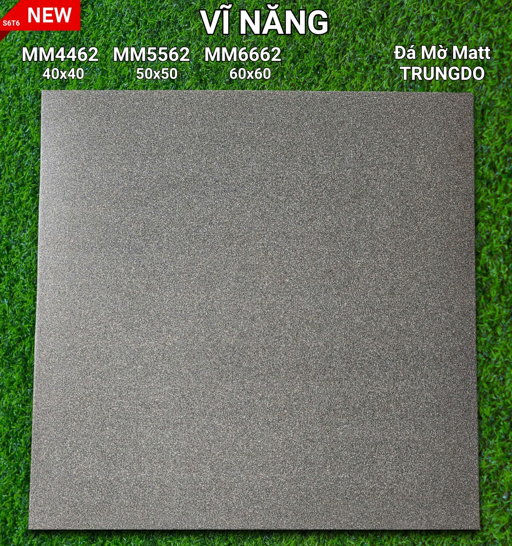 Đá Mờ Matt 60x60 MM6662