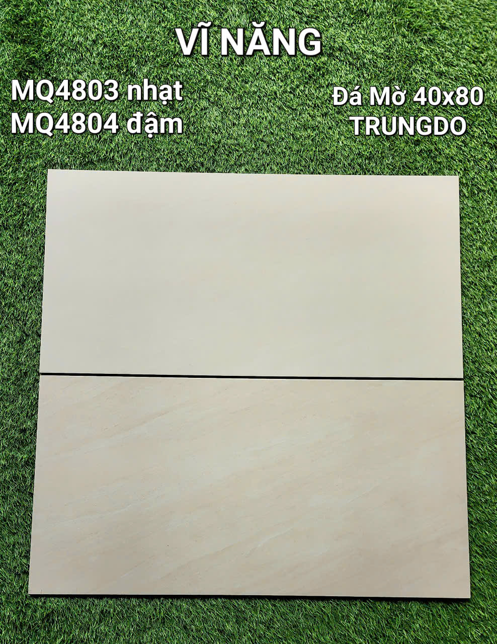 Đá Mờ Matt 40x80 MQ4803