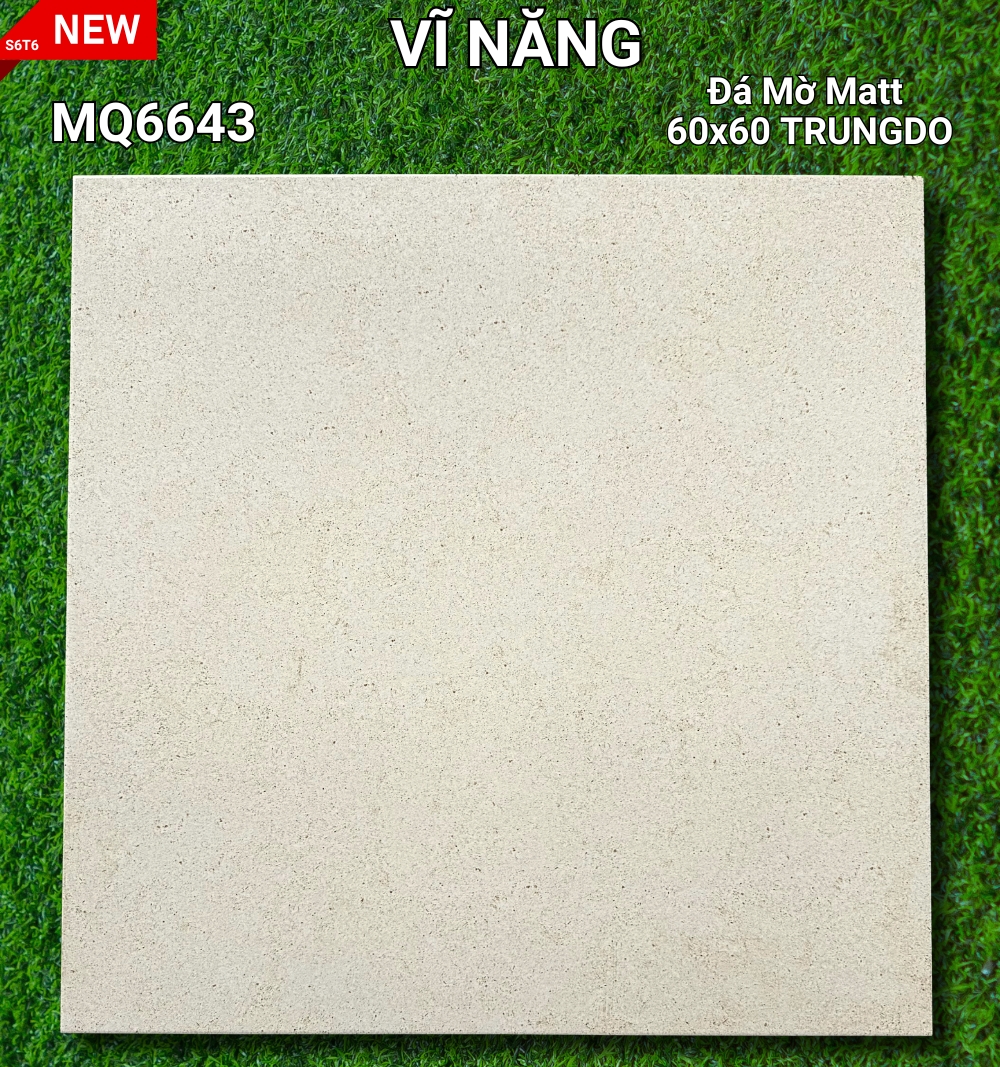 Đá Mờ Matt 60x60 MQ6643