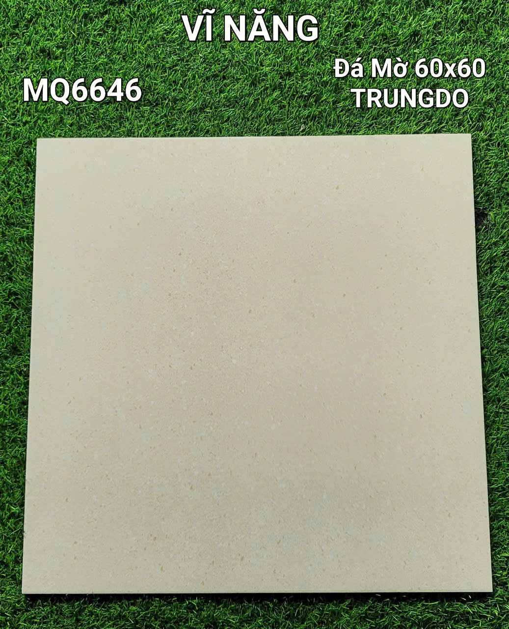 Đá Mờ Matt 60x60 MQ6646