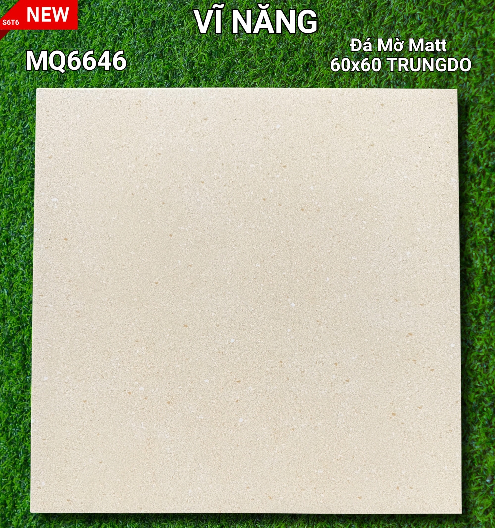 Đá Mờ Matt 60x60 MQ6646