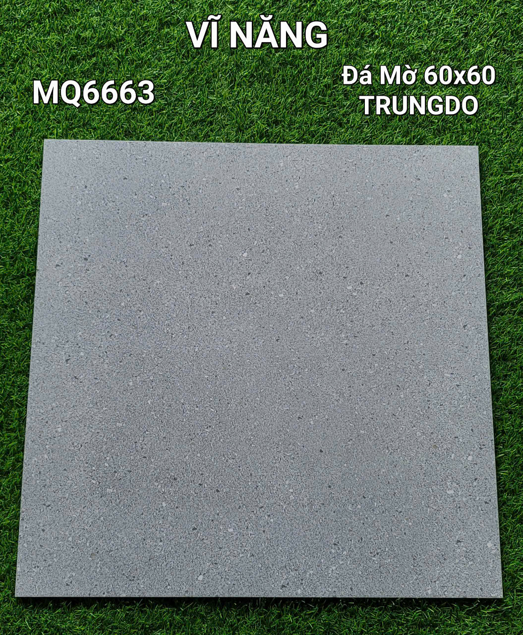 Đá Mờ Matt 60x60 MQ6663
