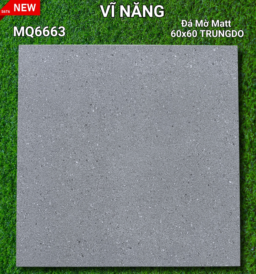 Đá Mờ Matt 60x60 MQ6663