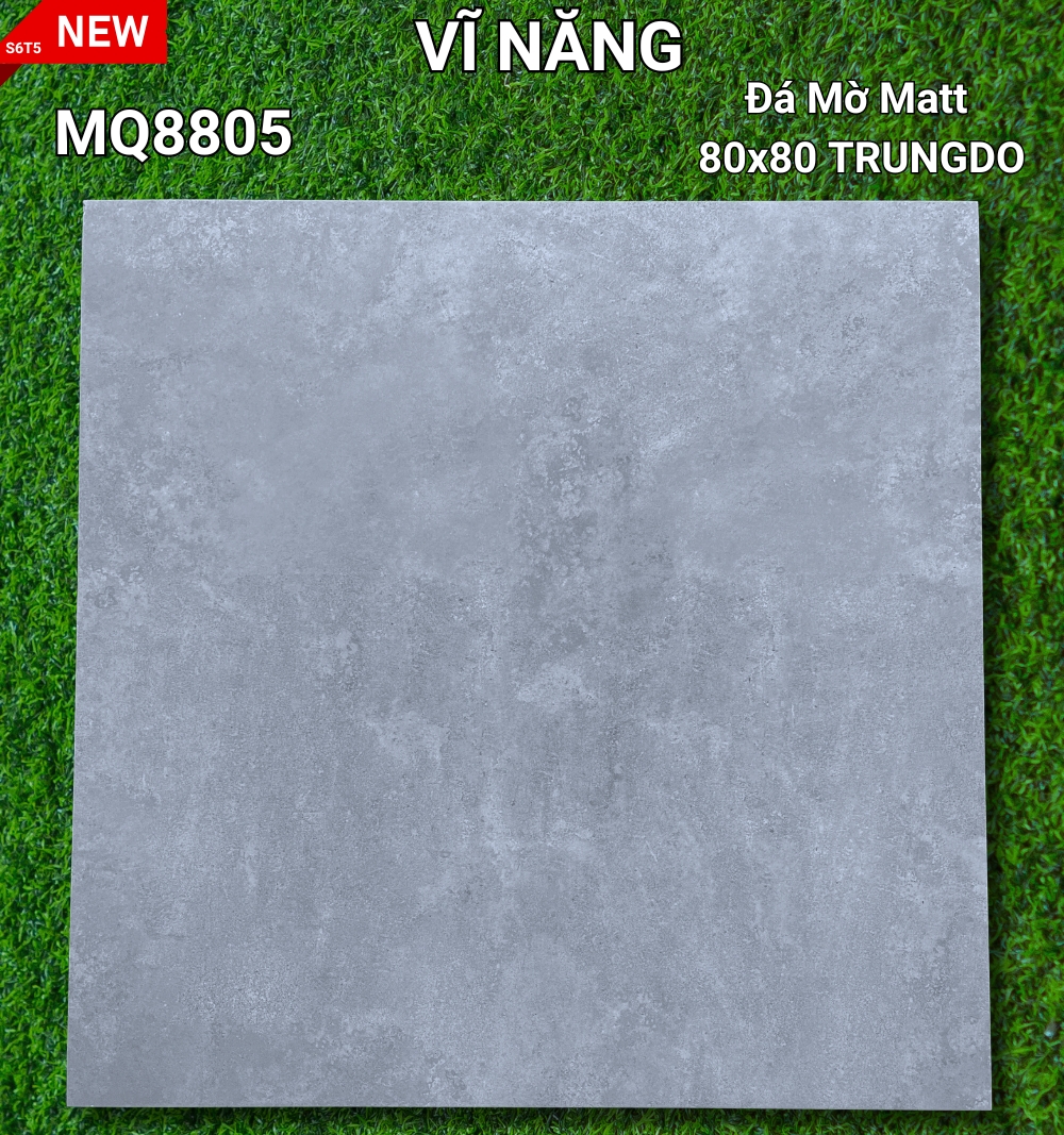 Đá Mờ Matt 80x80 - MQ8805