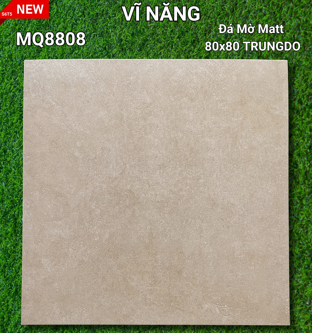 Đá Mờ Matt 80x80 - MQ8808