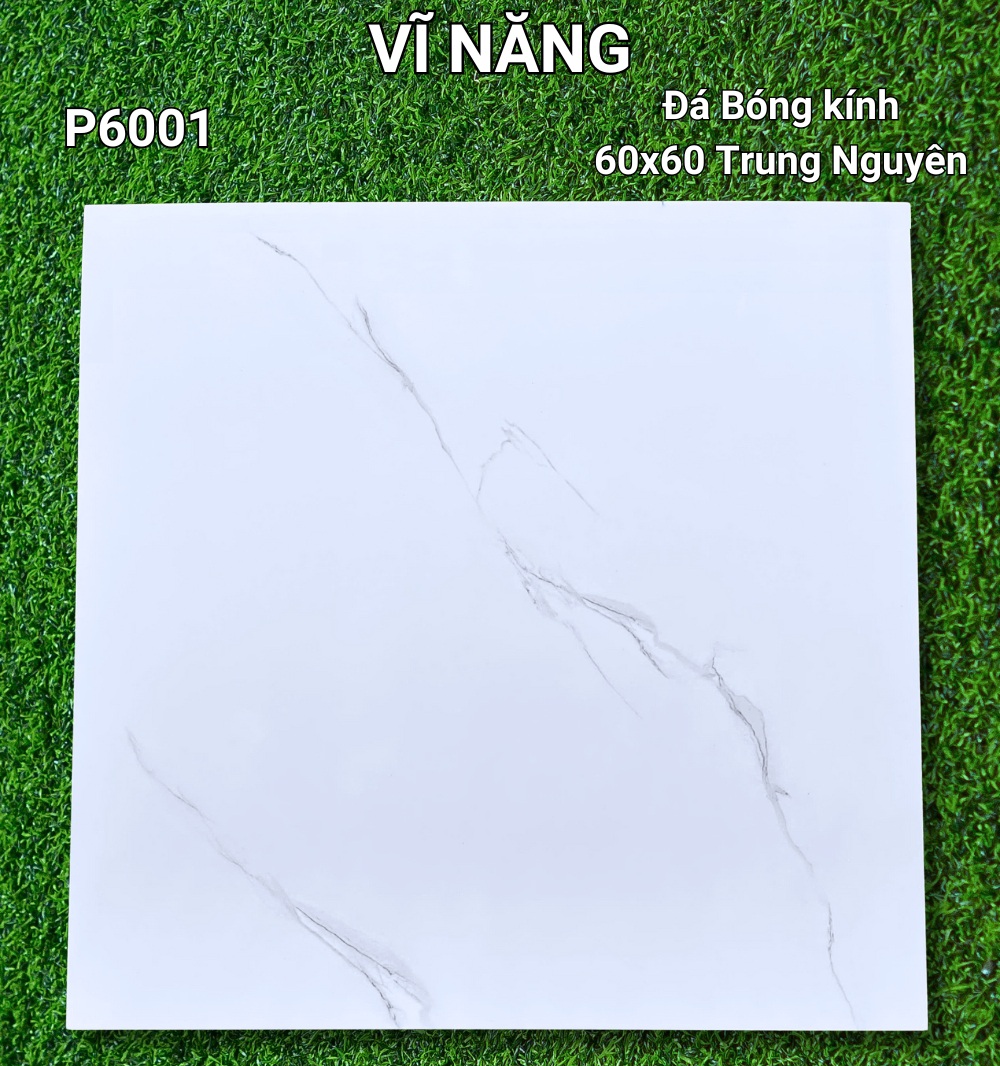 Đá Bóng Kính 60X60  - P6001