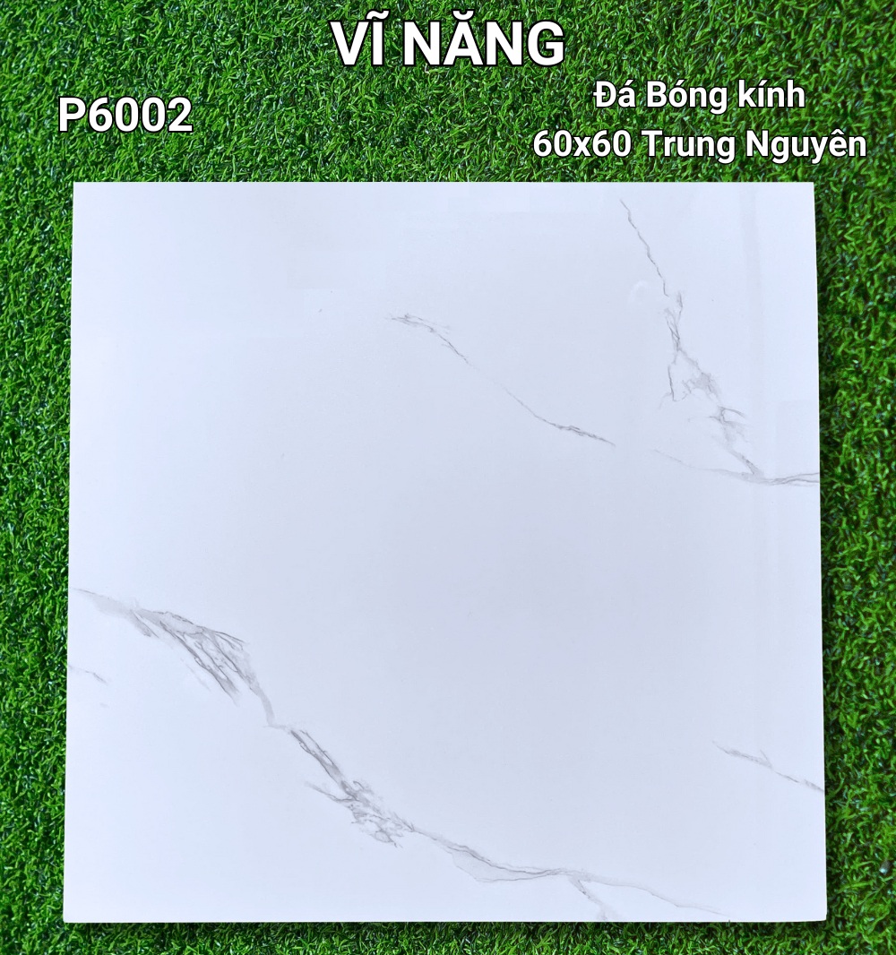 Đá Bóng Kính 60X60  - P6002