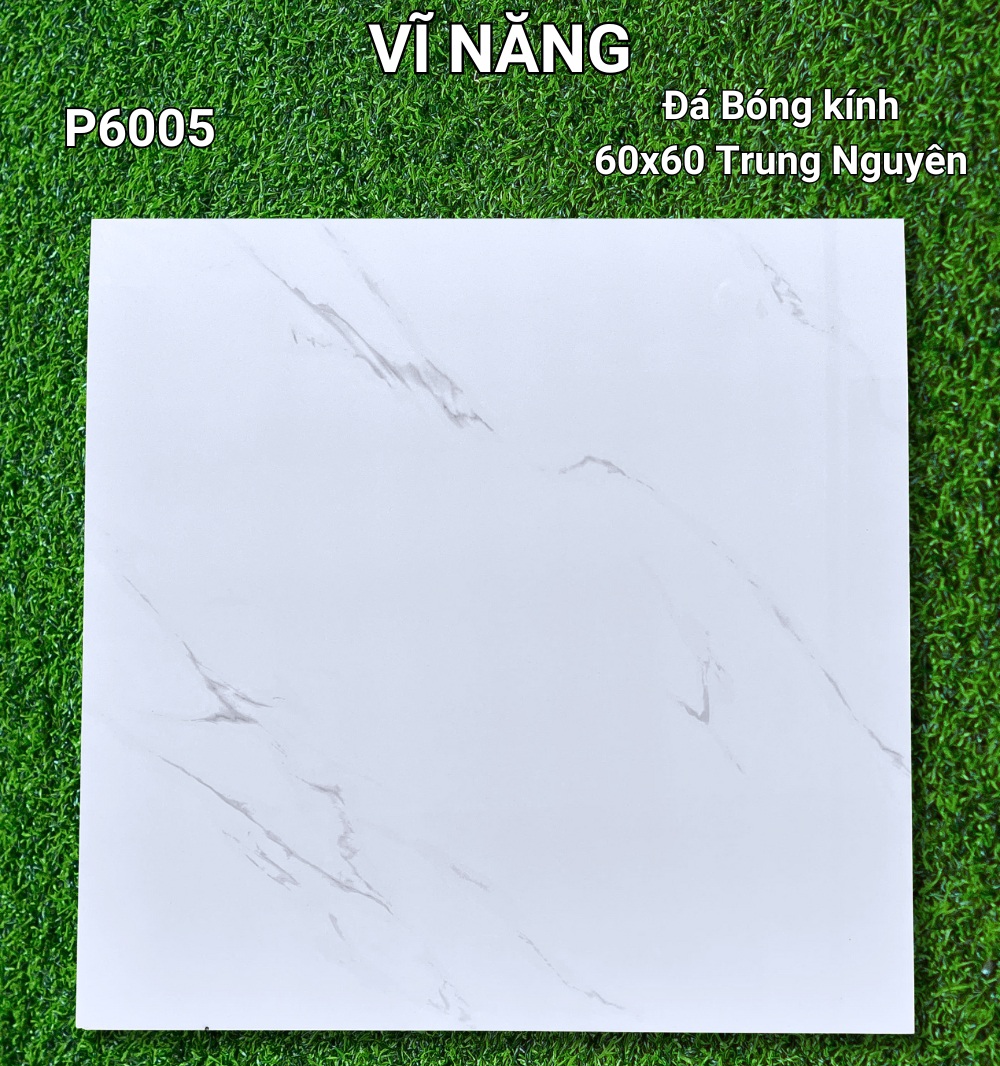 Đá Bóng Kính 60X60  - P6005