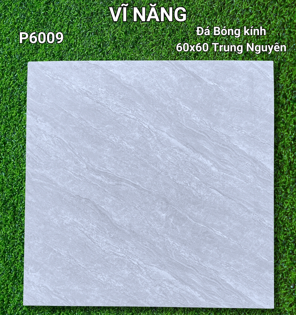 Đá Bóng Kính 60X60  - P6009