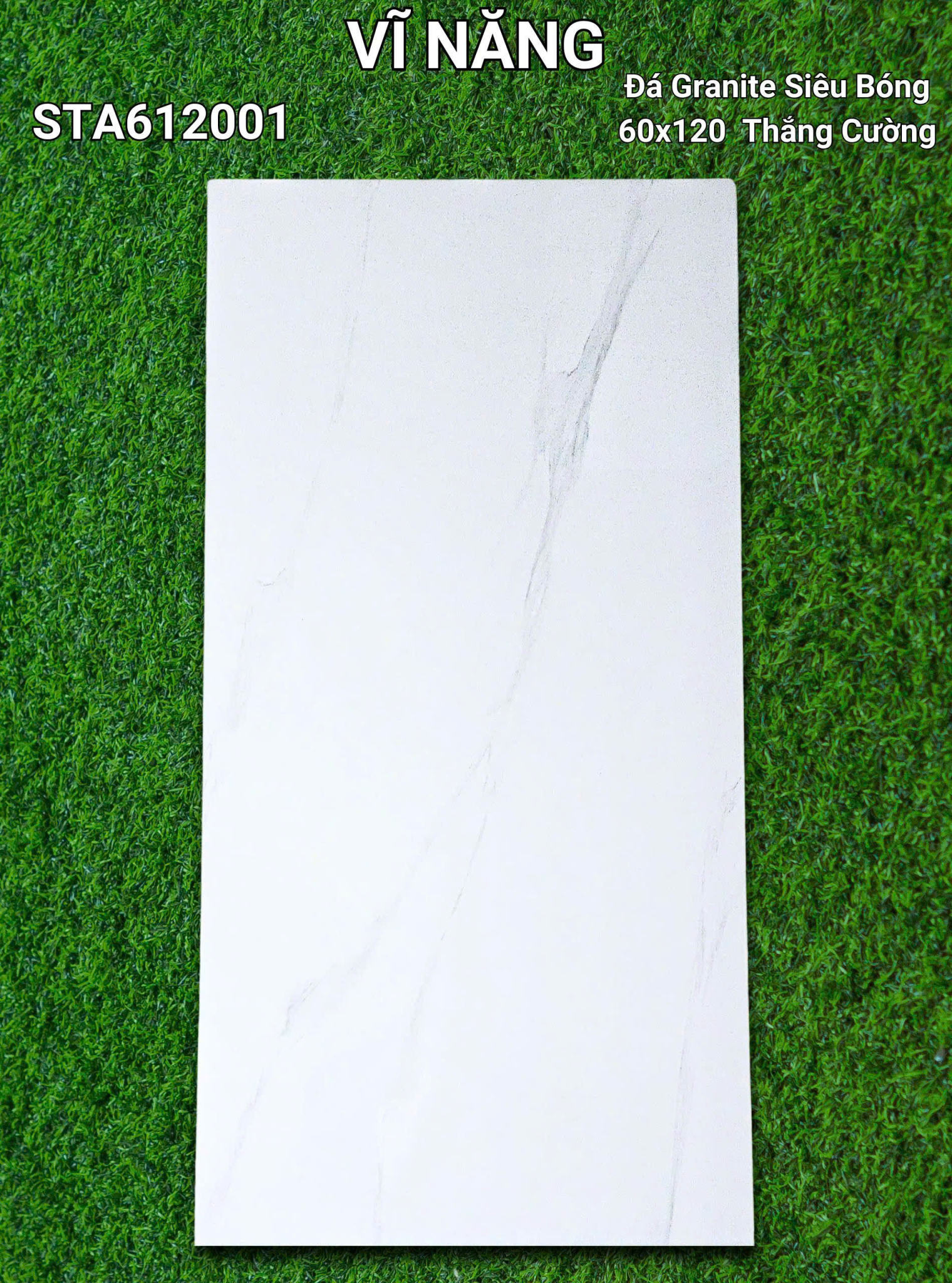 Đá Siêu Bóng 60x120 - STA612001
