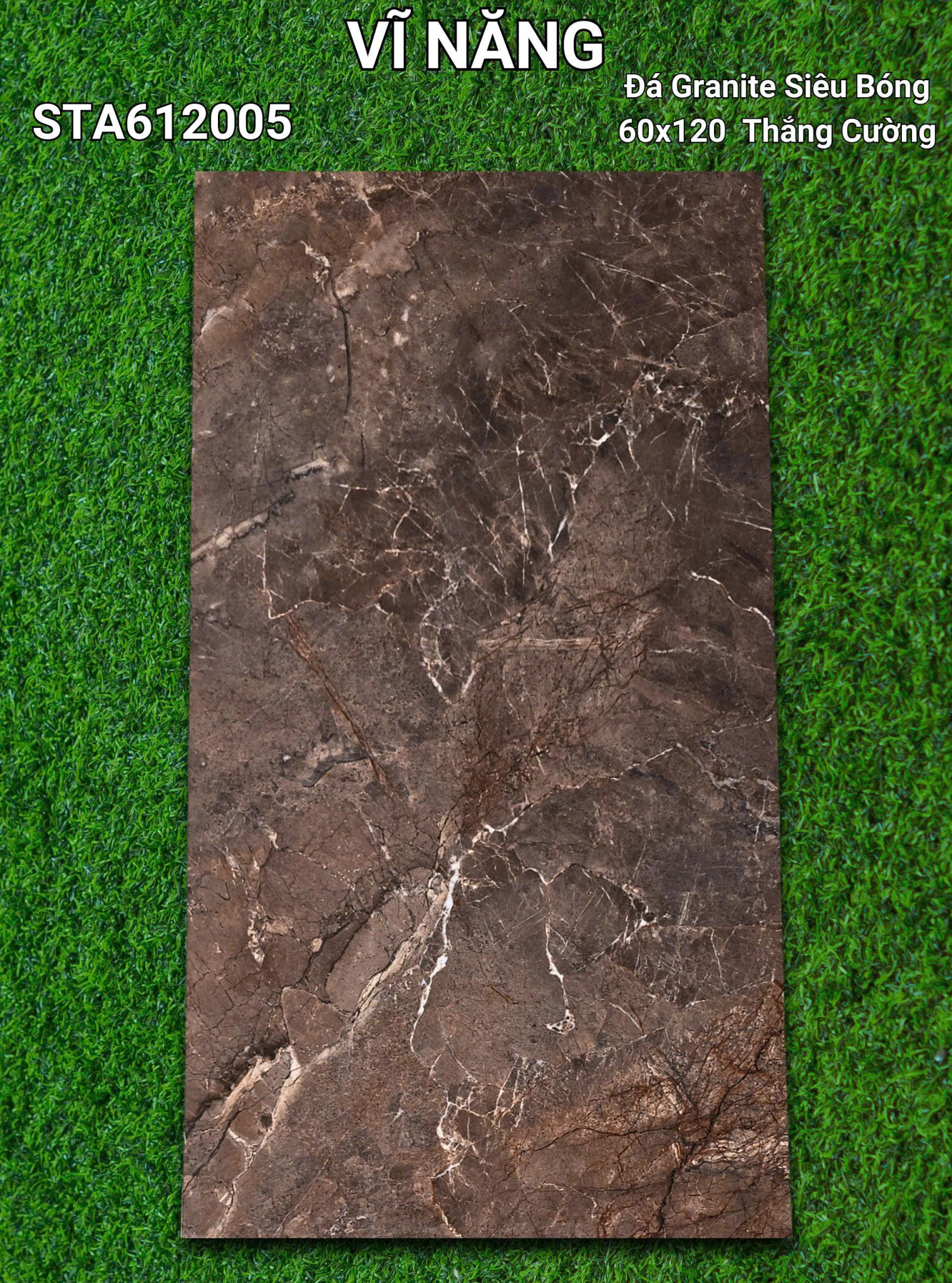 Đá Siêu Bóng 60x120 - STA612005