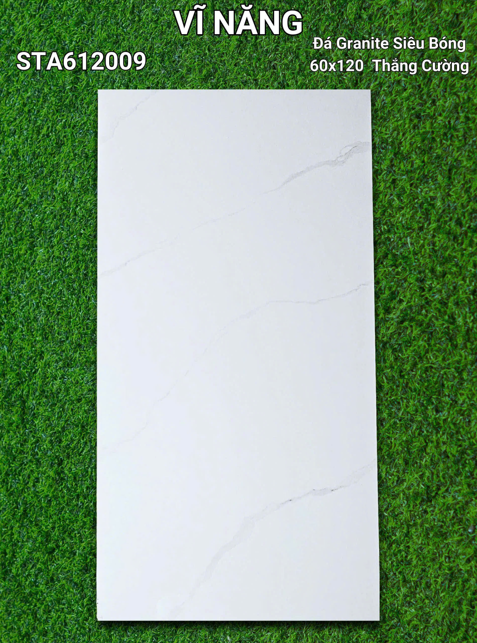 Đá Siêu Bóng 60x120 - STA612009