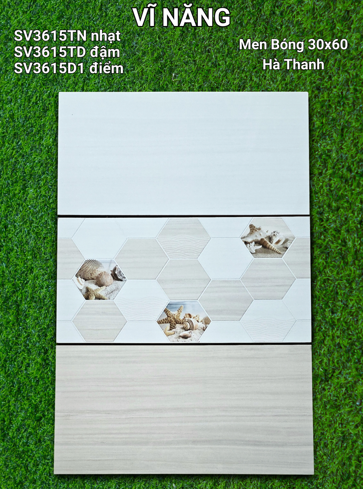 Men Bóng 30x60 - SV3615