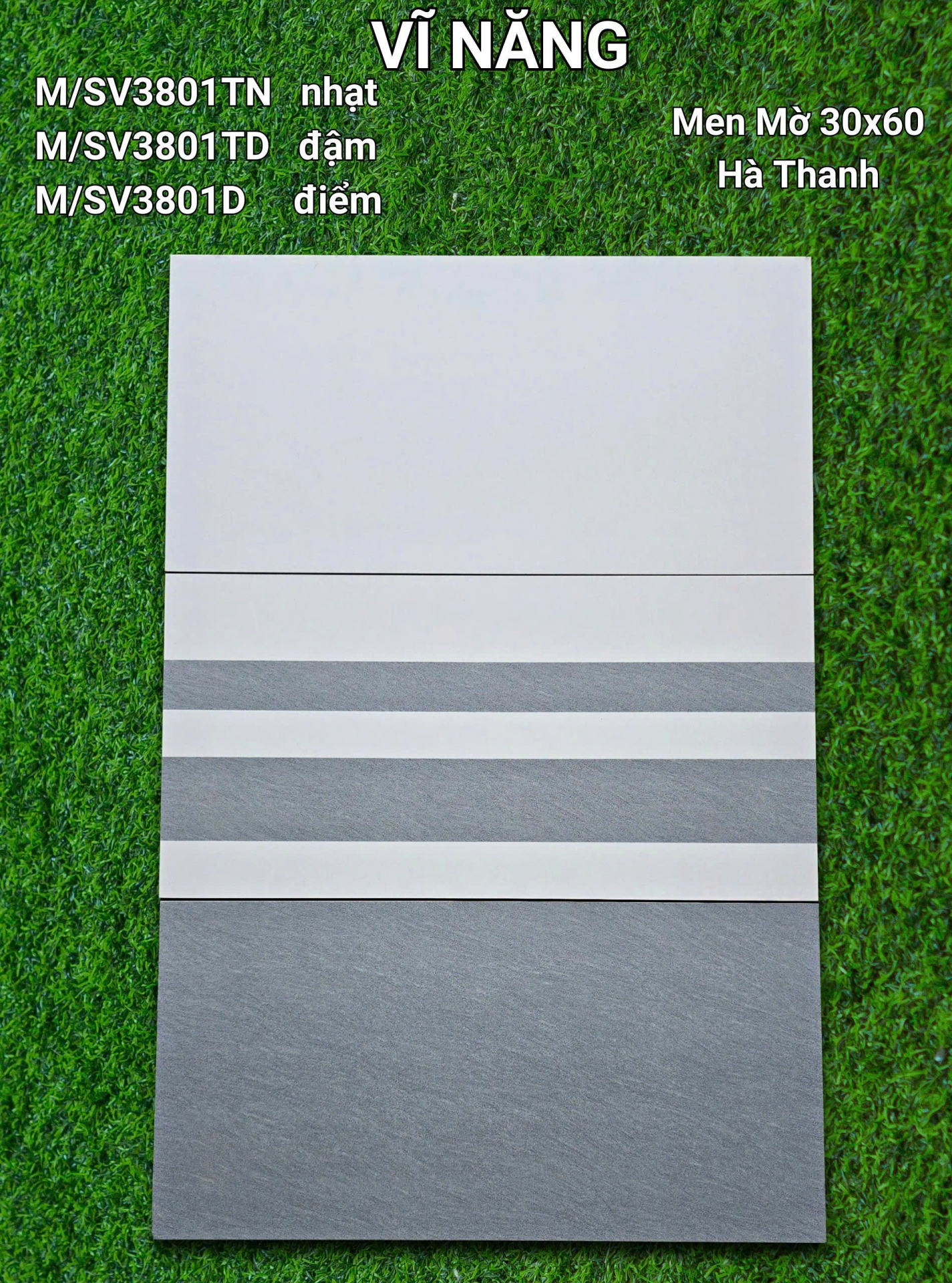 Men Mờ 30x60 - M/SV3801