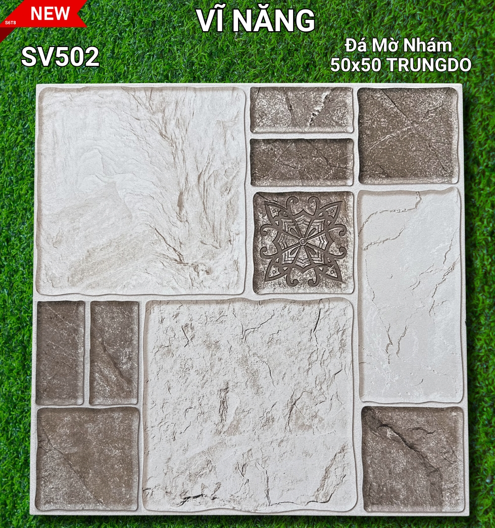 SV501 - copy
