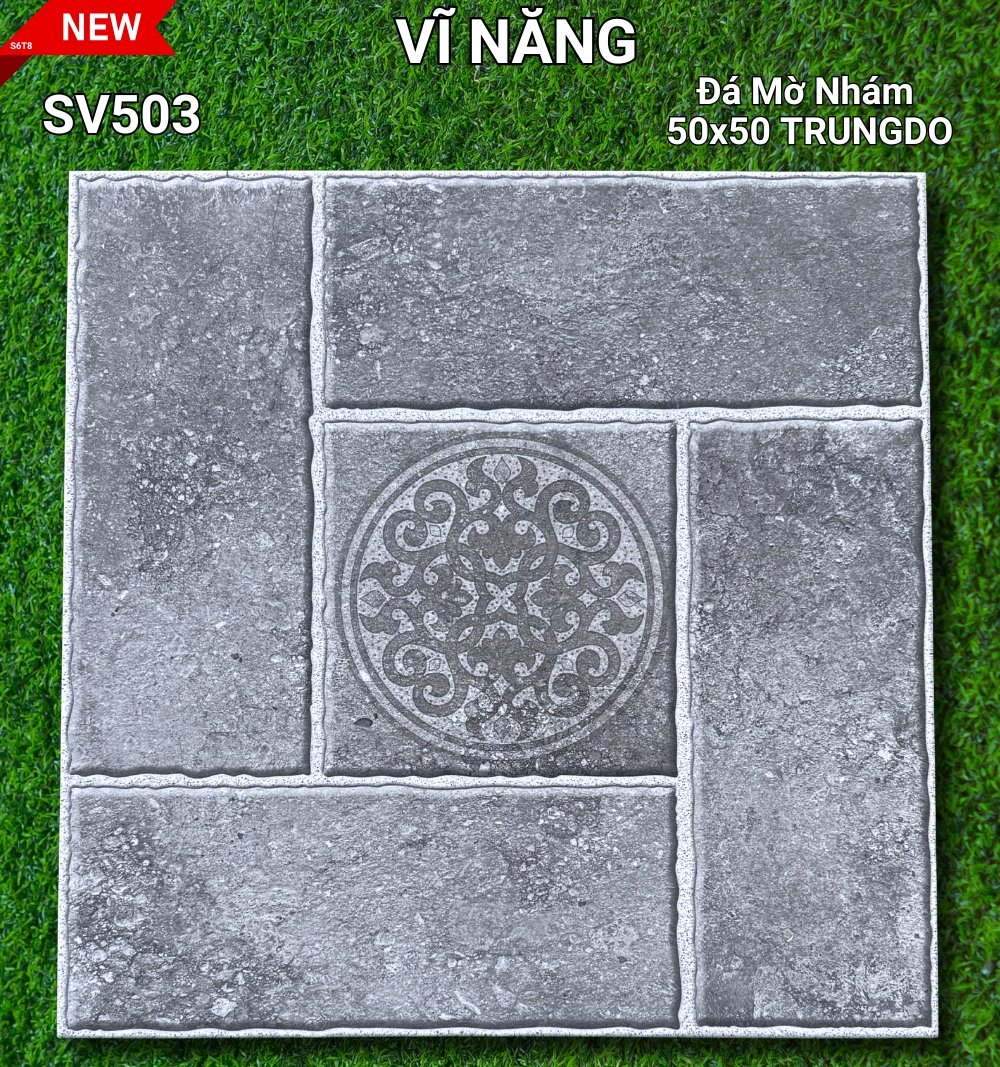 SV501 - copy - copy