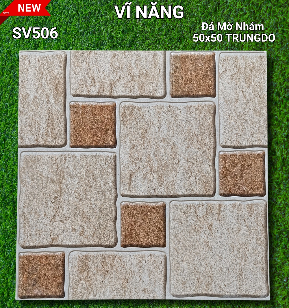 SV501 - copy - copy - copy - copy - copy
