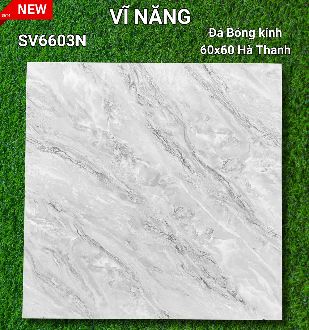 Đá Bóng Kính 60x60 - SV6603N