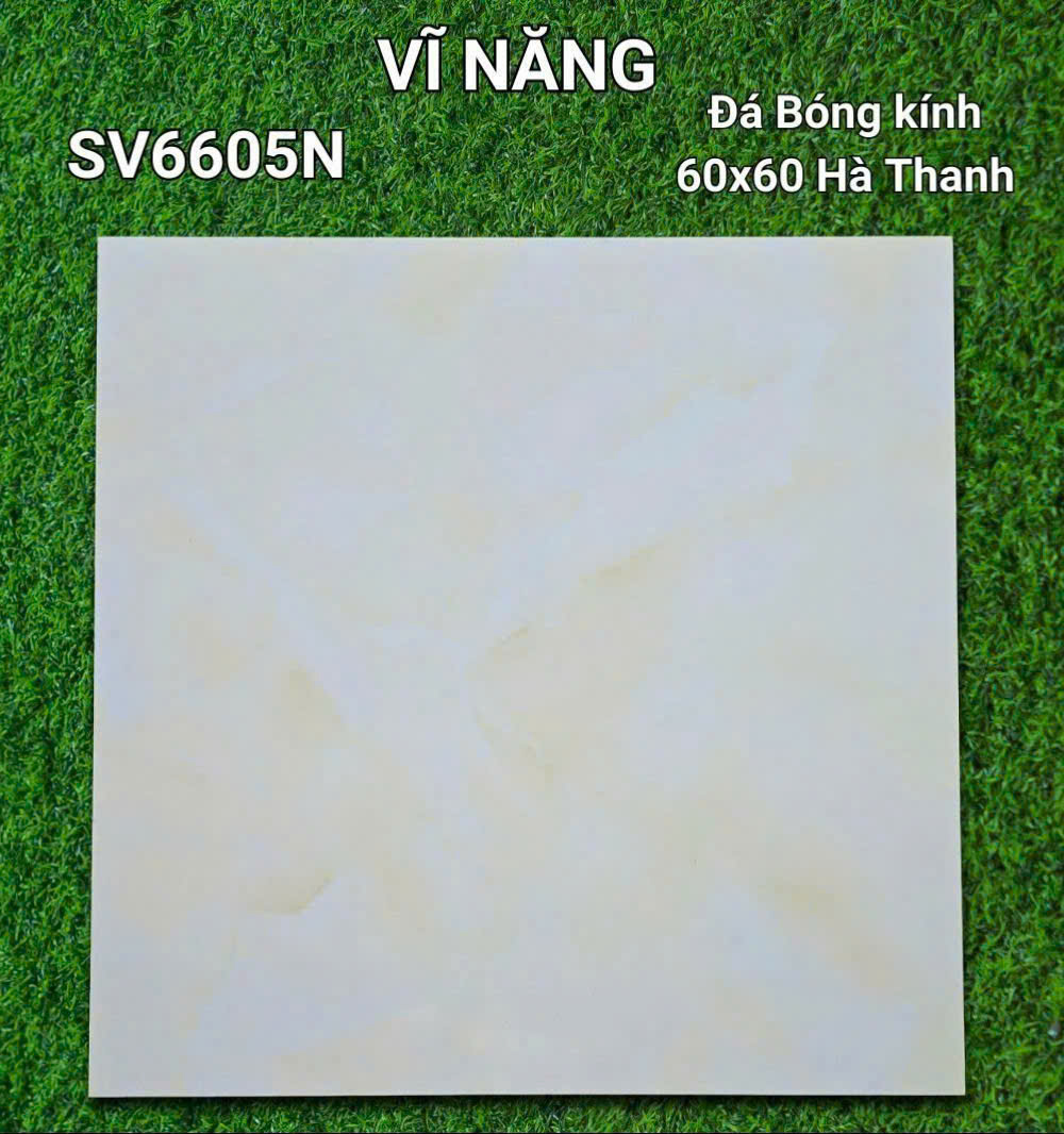 Đá Bóng Kính 60x60 - SV6605N