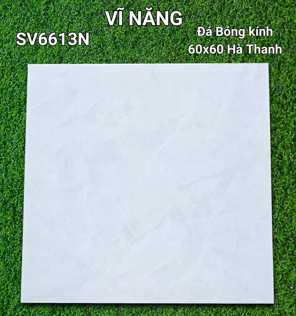 Đá Bóng Kính 60x60 - SV6613N
