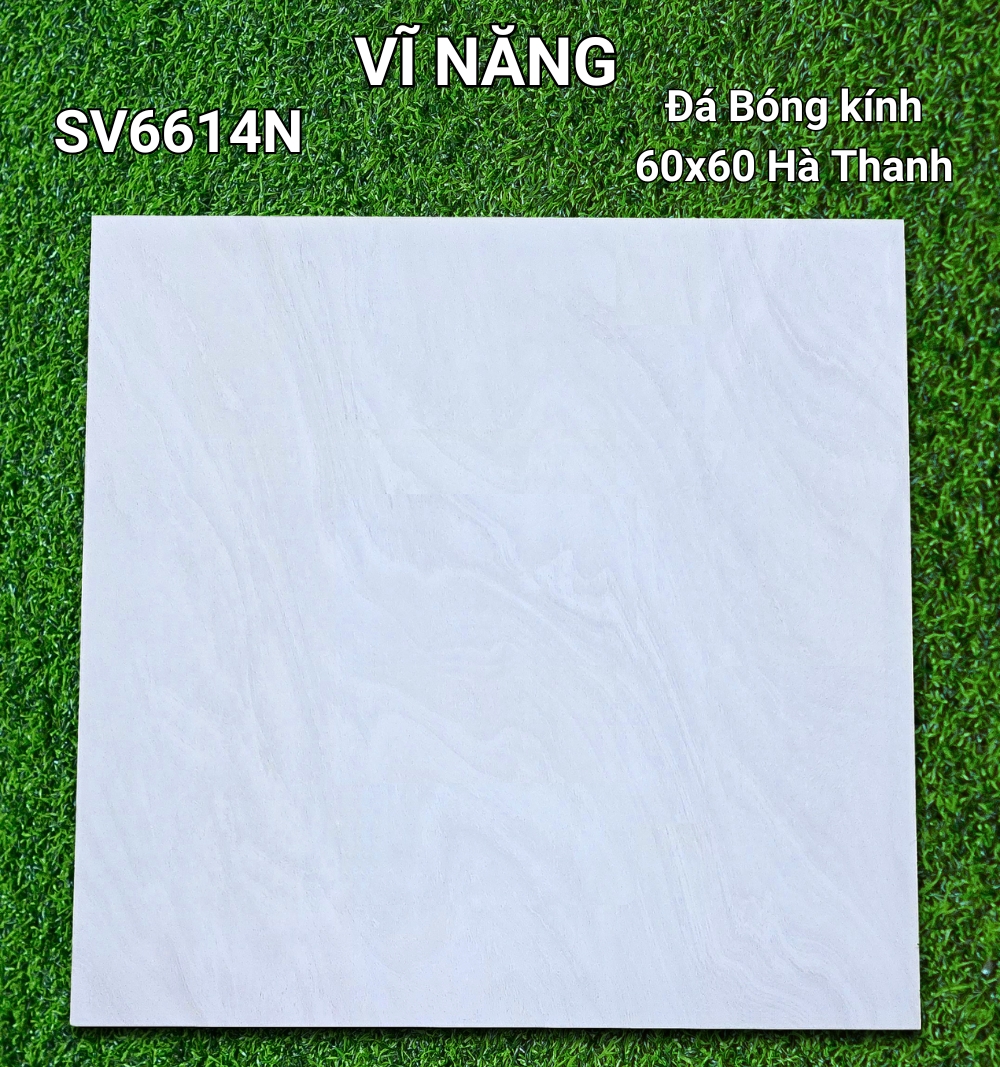 Đá Bóng Kính 60x60 - SV6614N