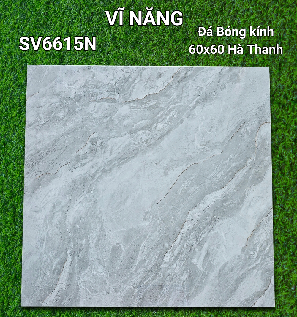 Đá Bóng Kính 60x60 - SV6615N
