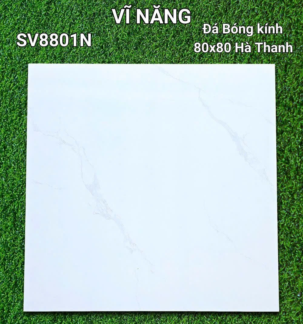 Đá Bóng Kính 80x80 - SV8801N