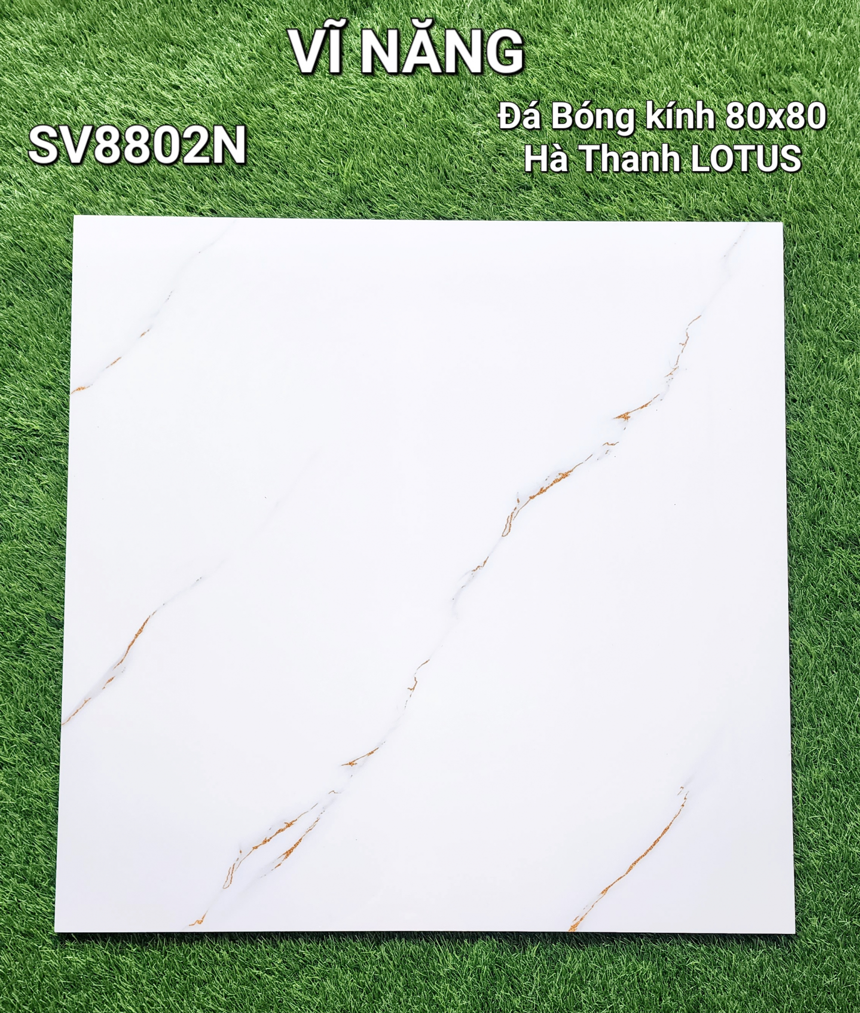 Đá Bóng Kính 80x80 - SV8802N
