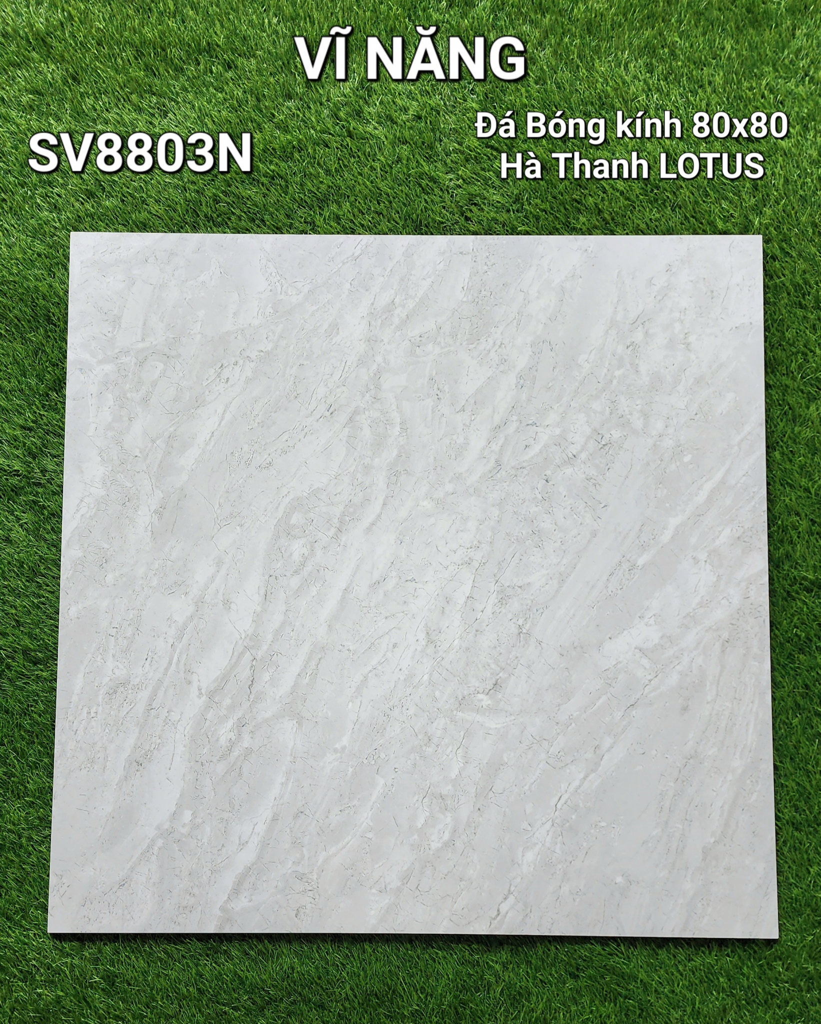 Đá Bóng Kính 80x80 - SV8803N