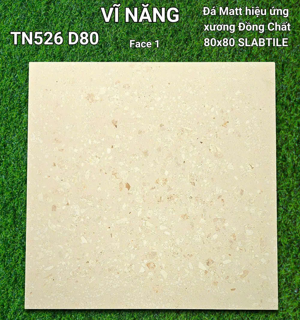 Đá Mờ Xương Đồng Chất 80x80 - TN526D80