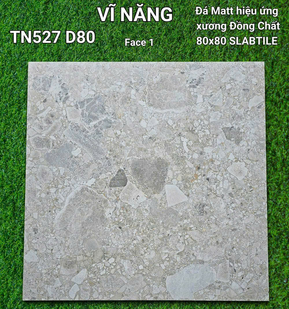 Đá Mờ Xương Đồng Chất 80x80 TN527D80